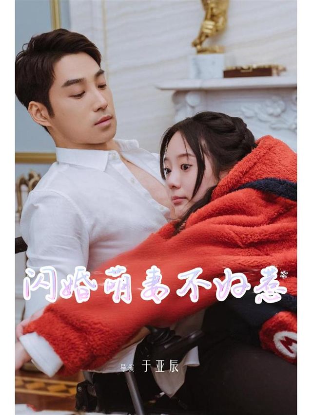 闪婚萌妻不好惹封面