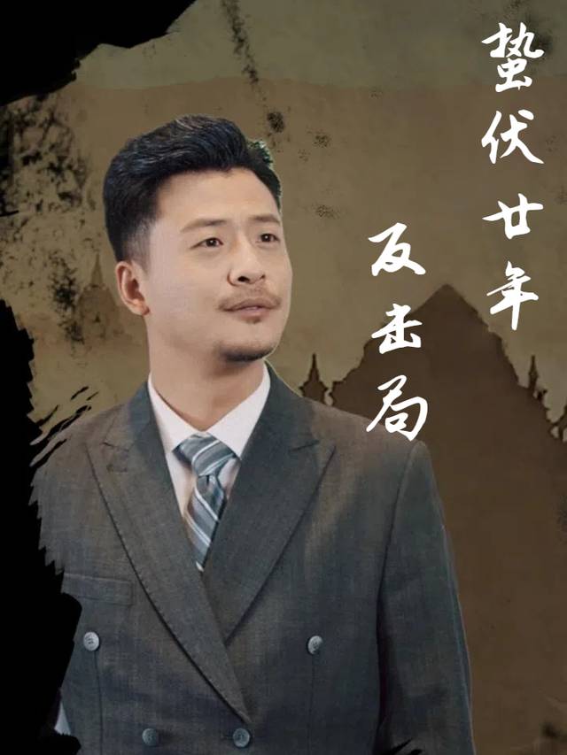 蛰伏廿年反击局封面