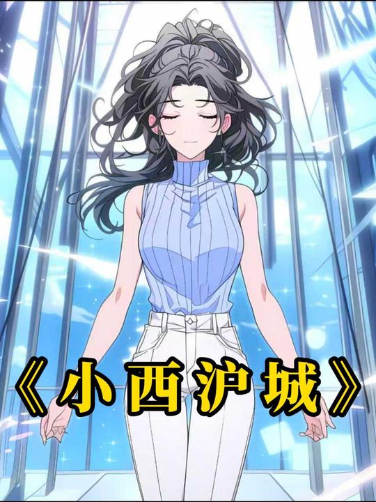 小西沪城封面