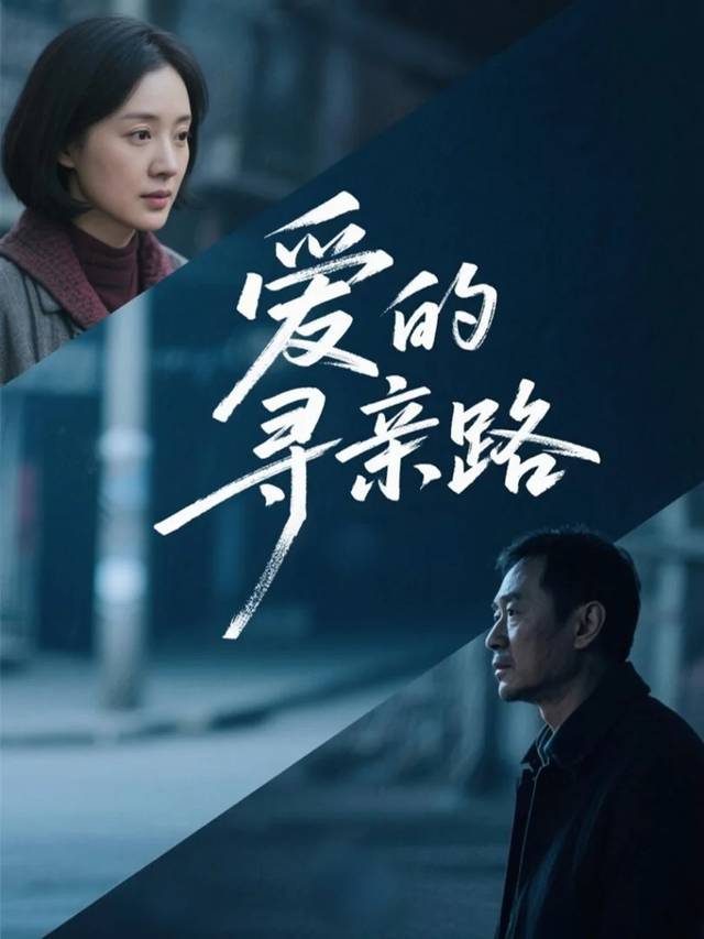 爱的寻亲路封面