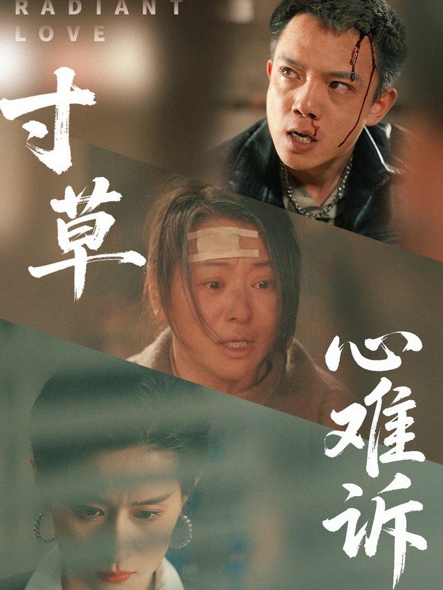 寸草心难诉封面