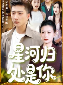 星河归处是你封面
