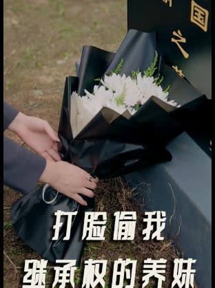 打脸偷我继承权的养妹封面