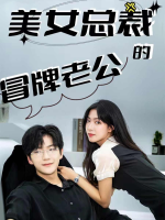 美女总裁的冒牌老公封面