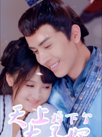 天上掉下个太子妃封面