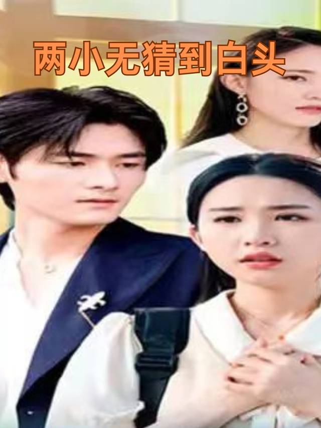 两小无猜到白头封面