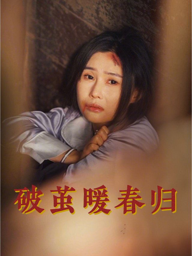 破茧暖春归封面