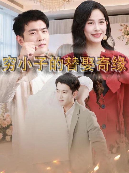 穷小子的替娶奇缘封面