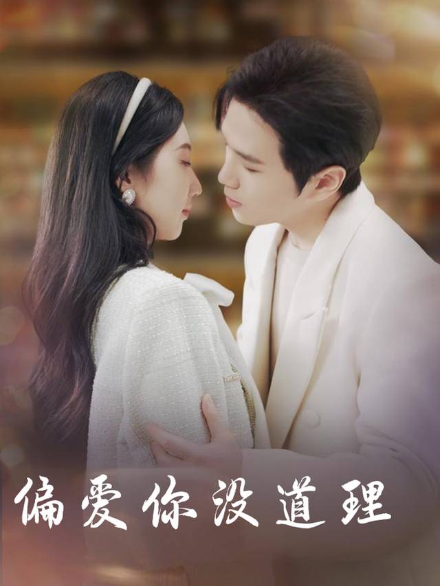 偏爱你没道理封面