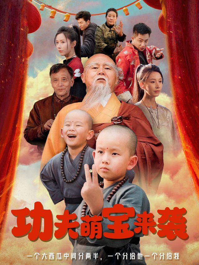功夫萌宝来袭封面