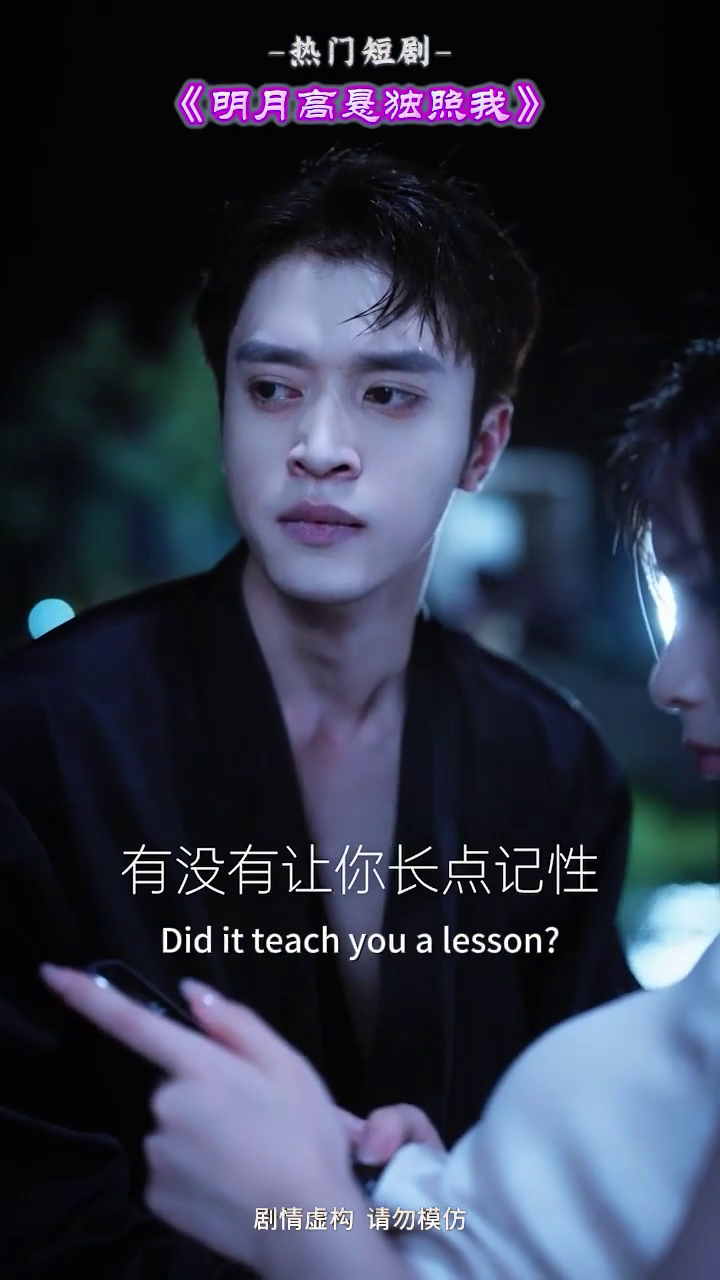 明月高悬独照我封面