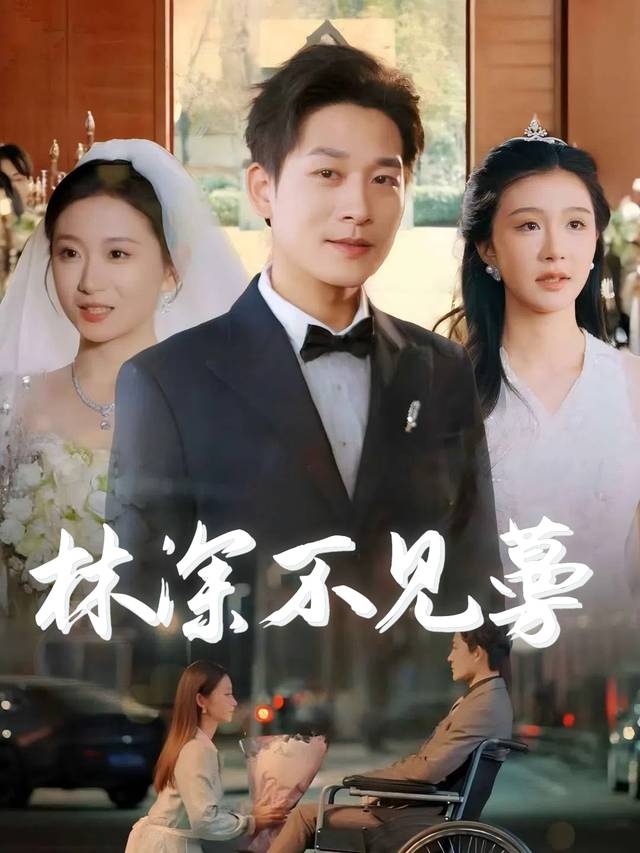 林深不见蔓封面