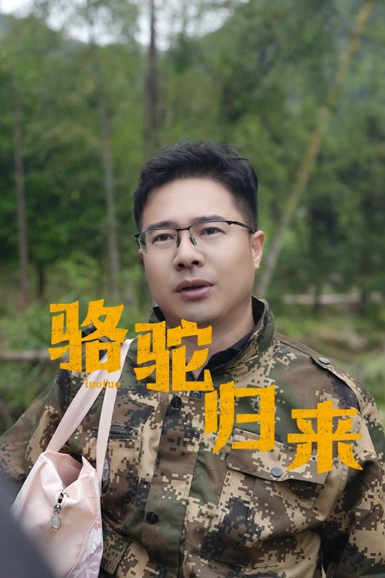 骆驼归来封面