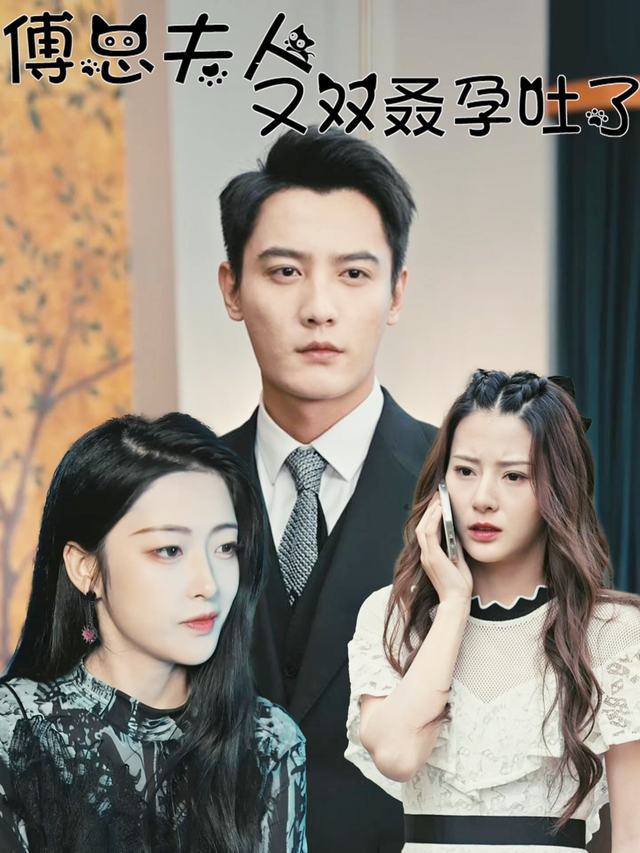 傅总夫人又双叒孕吐了封面