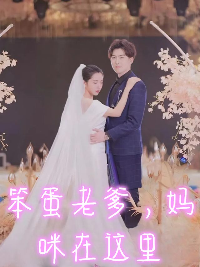 笨蛋老爹,妈咪在这里封面