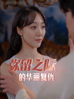 弥留之际的华丽复仇封面