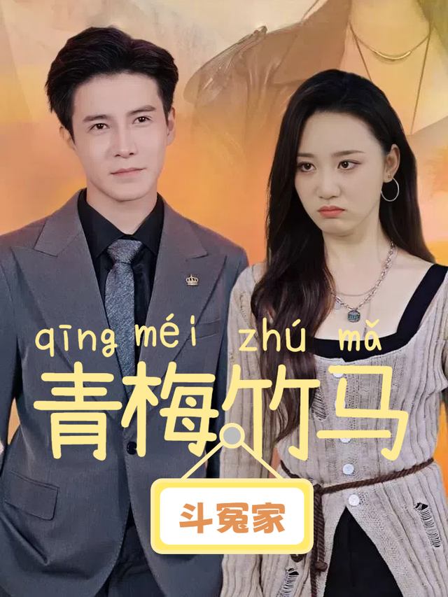 青梅竹马斗冤家封面