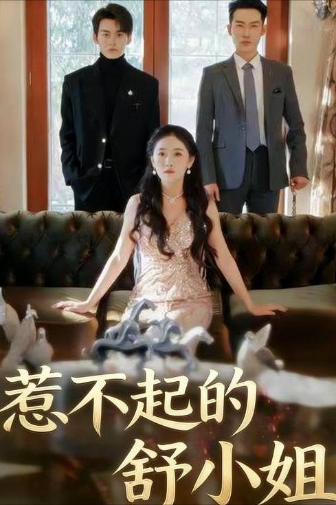惹不起的舒小姐封面