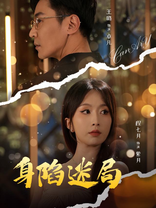 身陷迷局封面