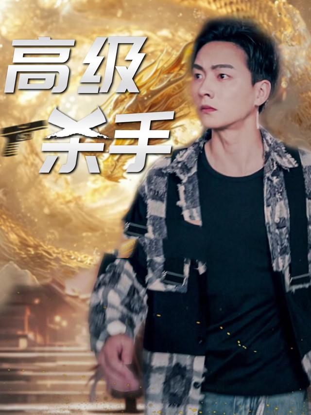 高级杀手封面