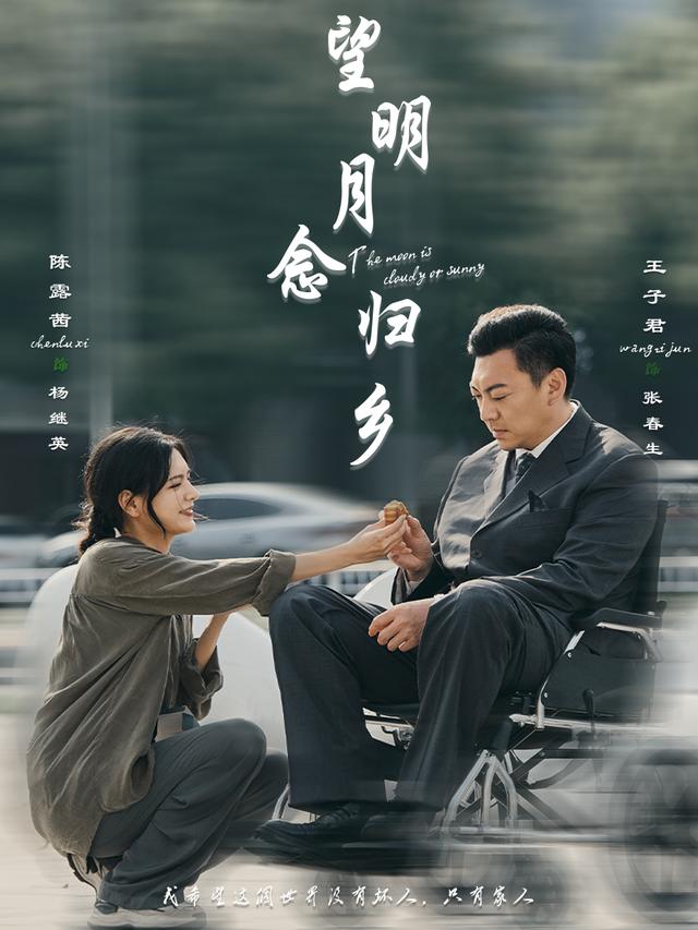 望明月,念归乡封面