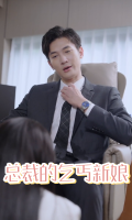 总裁的乞丐新娘封面