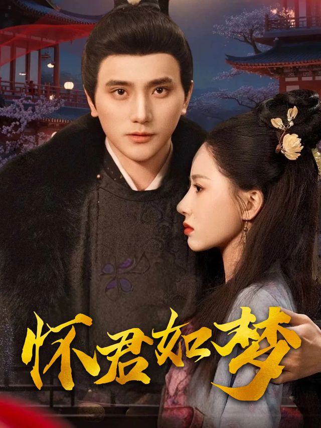 怀君如梦封面