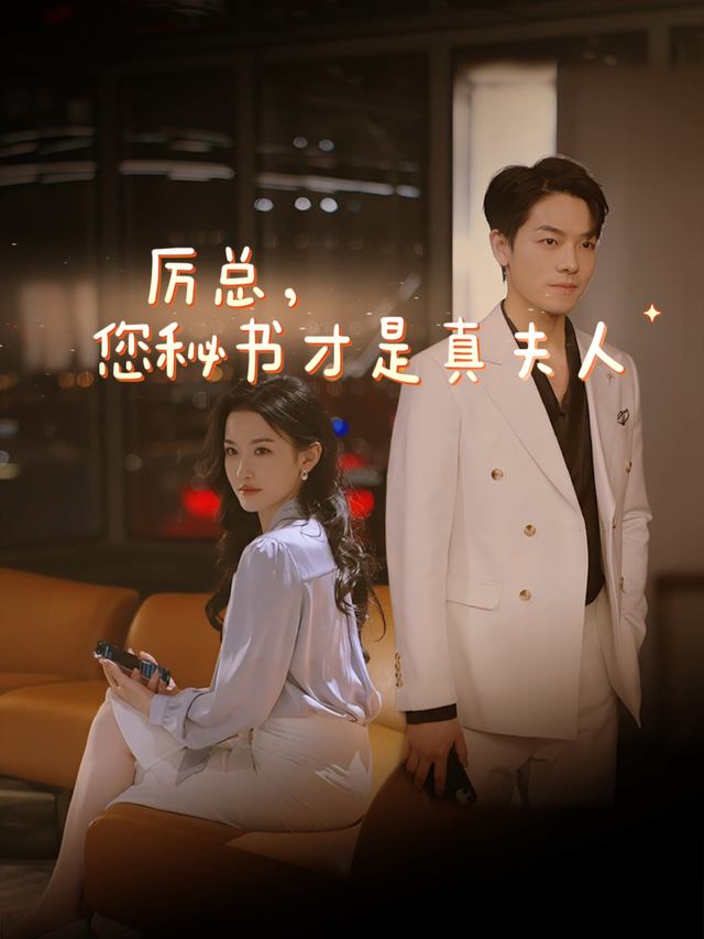 厉先生,你找错夫人了封面