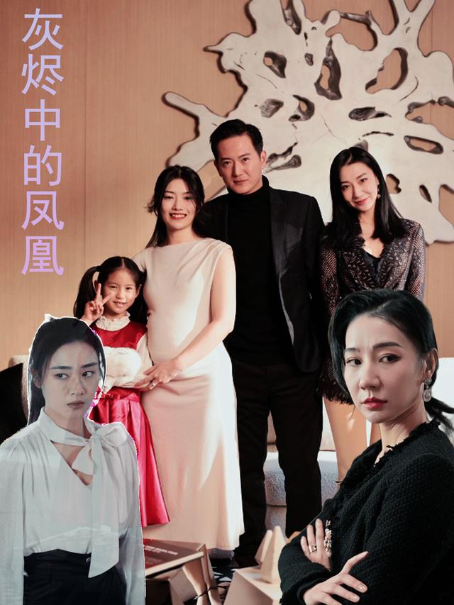 灰烬中的凤凰封面