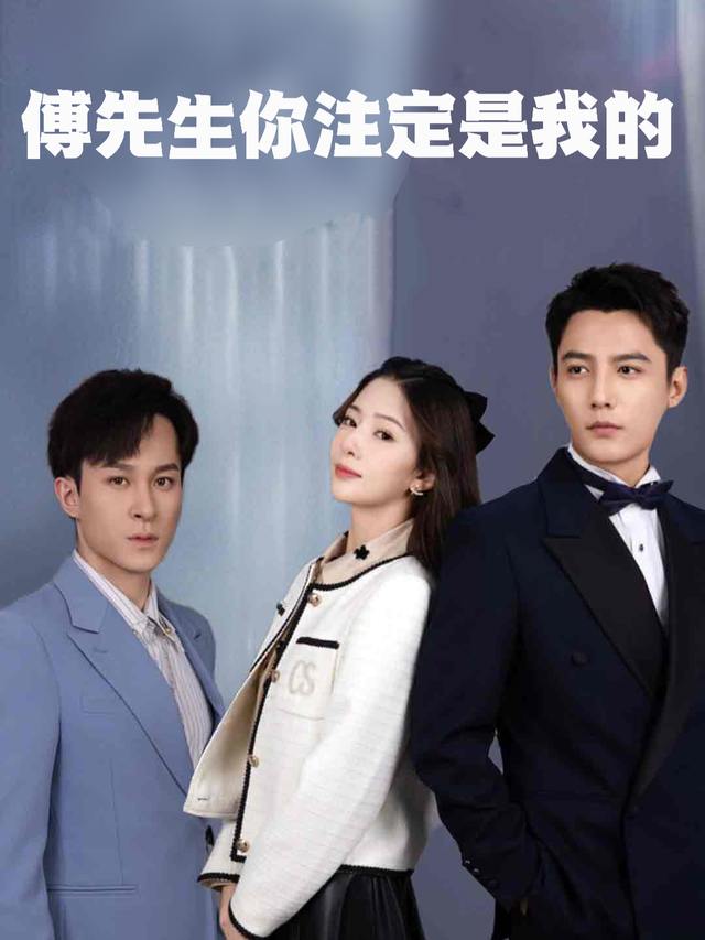 傅先生,你注定是我的封面