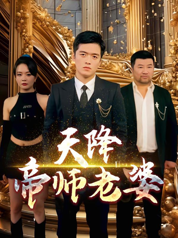 天降帝师老婆封面