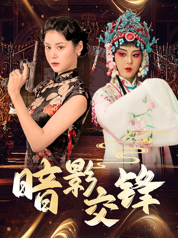 暗影交锋封面