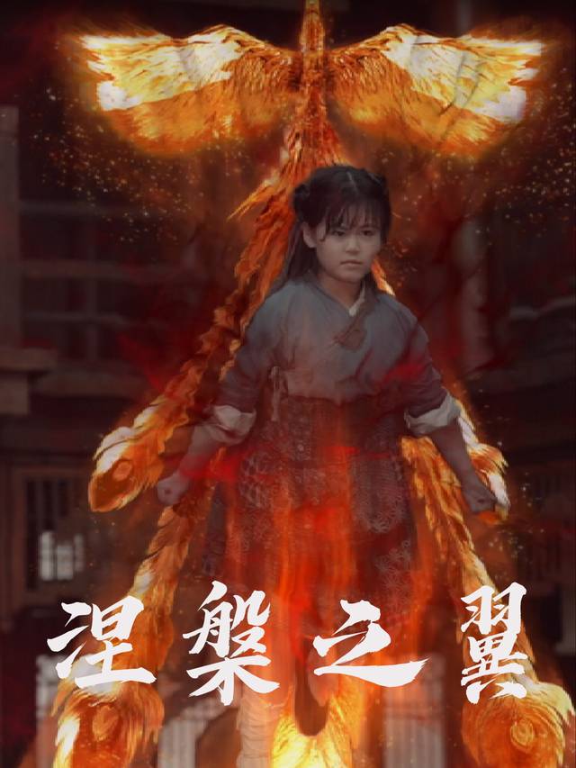 涅槃之翼封面