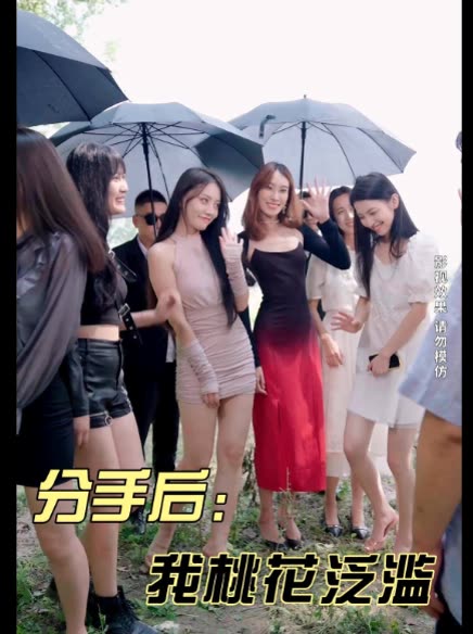 分手后:我竟然桃花泛滥封面