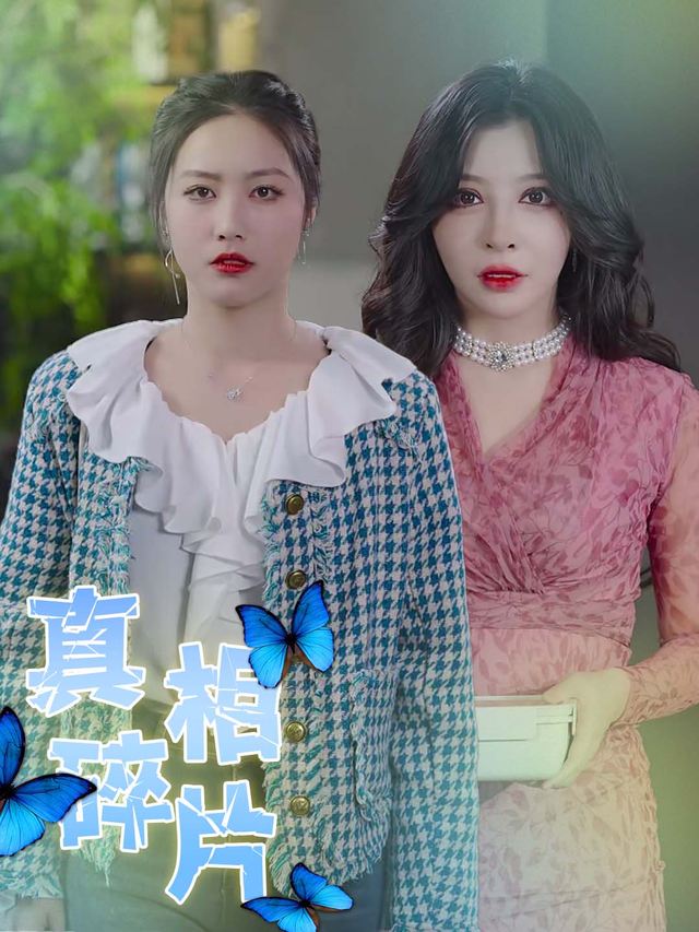 真相碎片封面