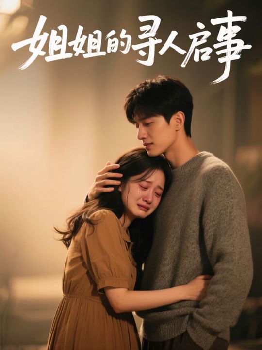 姐姐的寻人启事封面