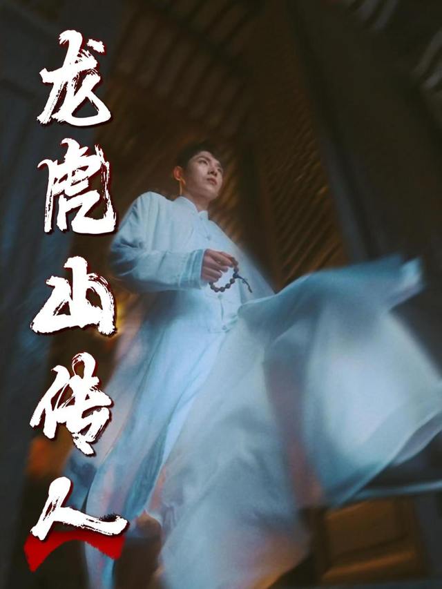 龙虎山传人封面