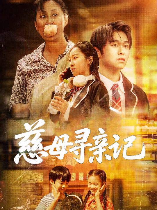 慈母寻亲记封面