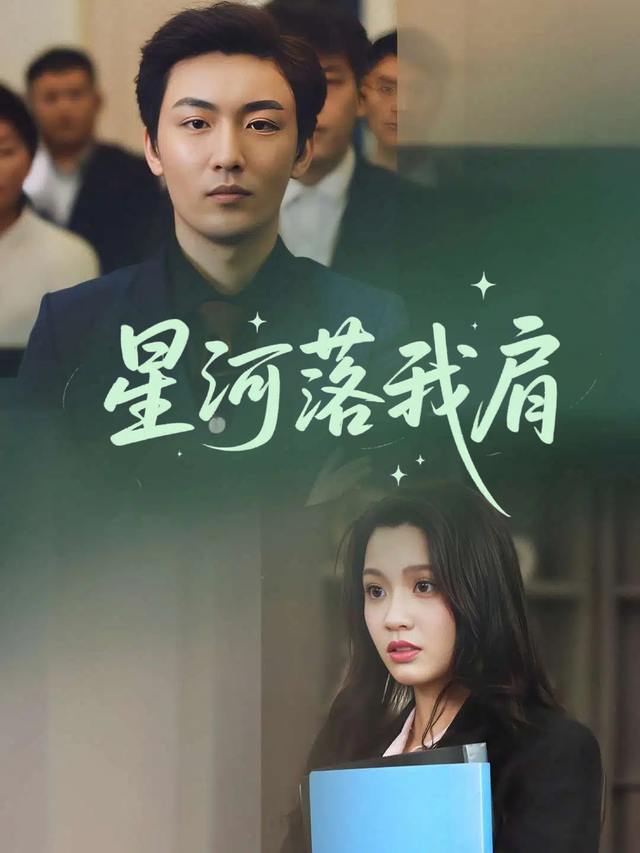 星河落我肩封面