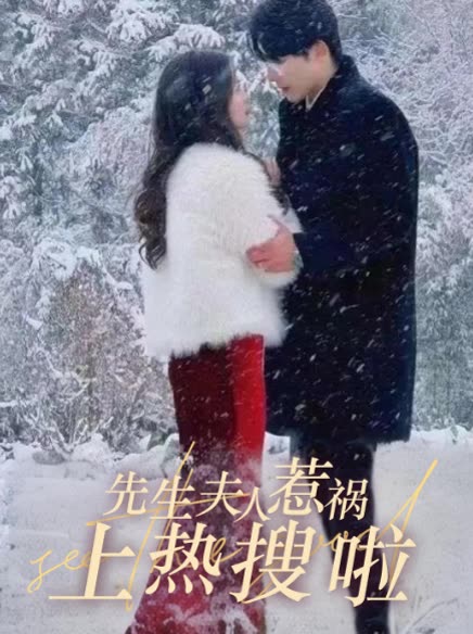 先生,夫人惹祸上热搜啦封面