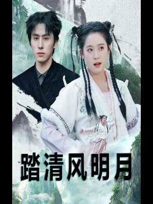 踏清风明月封面
