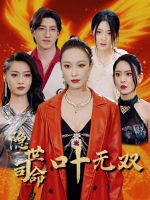 隐世司命叶无双封面