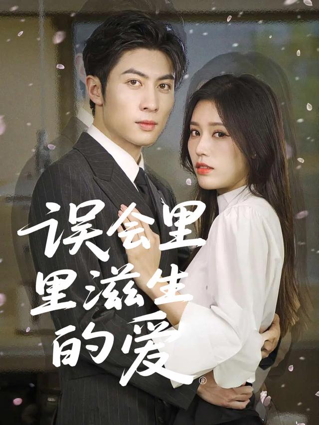 误会里滋生的爱封面