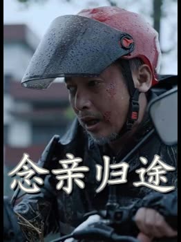 念亲归途封面