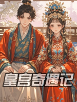 皇宫奇遇记封面
