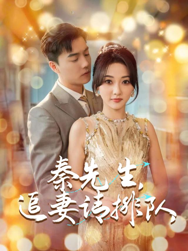 秦先生,追妻请排队封面