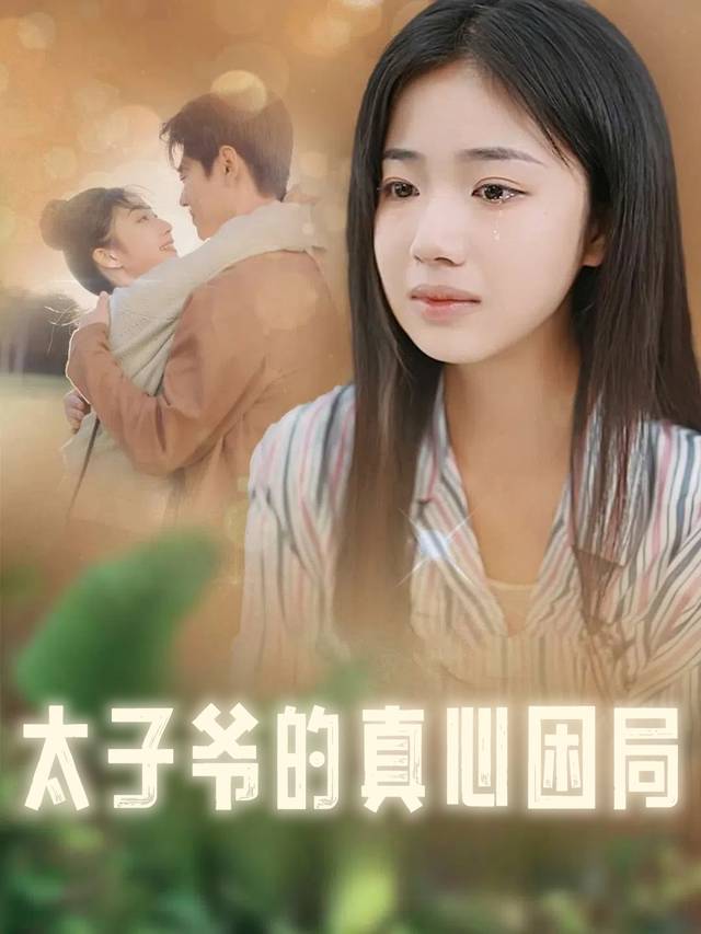 太子爷的真心困局封面