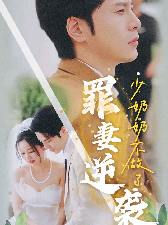 罪妻逆袭：少奶奶不做了封面