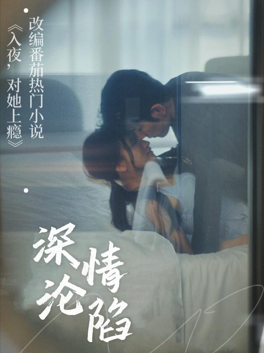 深情沦陷封面