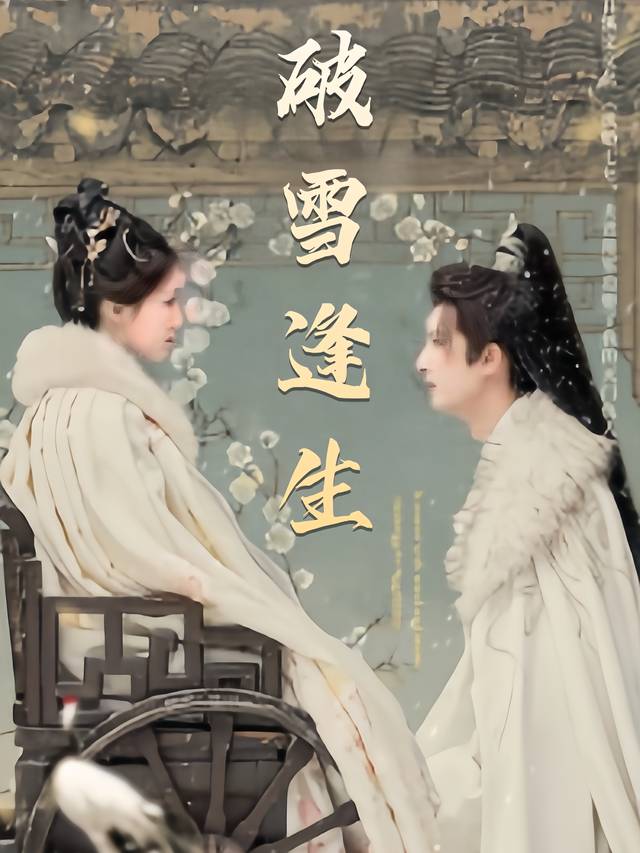 破雪逢生封面